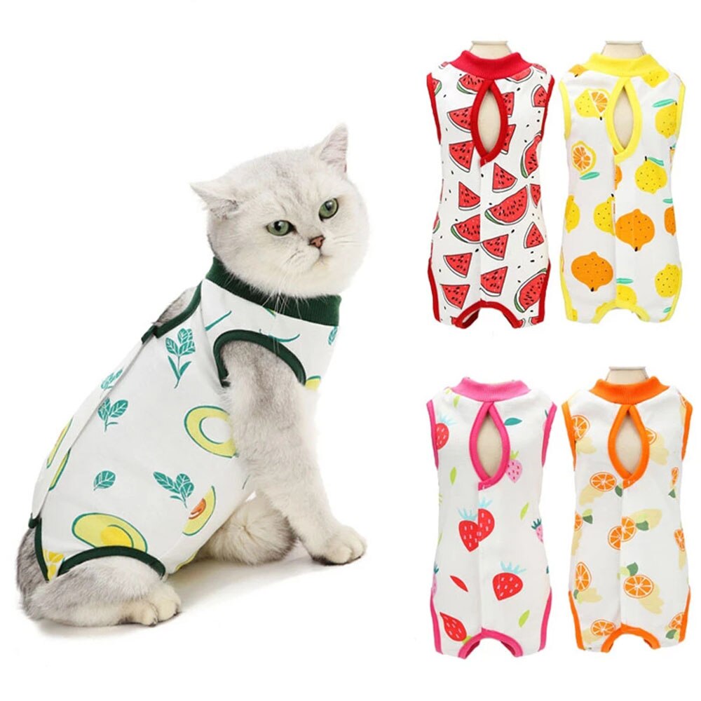 Combinaison de récupération chirurgicale pour chat, pour les blessures abdominales chirurgicales, vêtements pour animaux de compagnie, collier E alternatif pour chats et chiens, pyjama après stérilisation