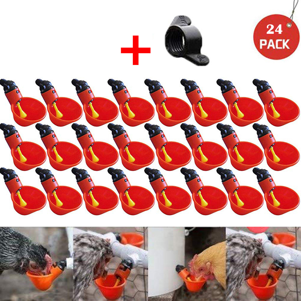 10/24 stuks automatische voerbak voor pluimvee, kippen, drinkbak voor water, drinkbeker voor kippen, voerbak voor kippen, kookkom voor pluimvee: 24 stuks
