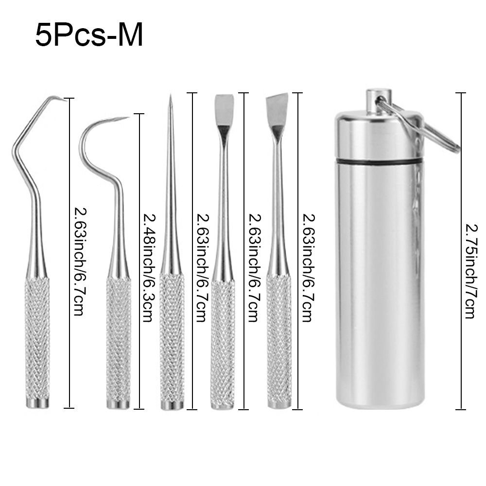 3/5Pcs/Set Portable Stainless Steel Toothpick Bag Set Reusable Toothpicks With Holder For Outdoor Picnics Camping Oral Care Tool: 5Pcs-M