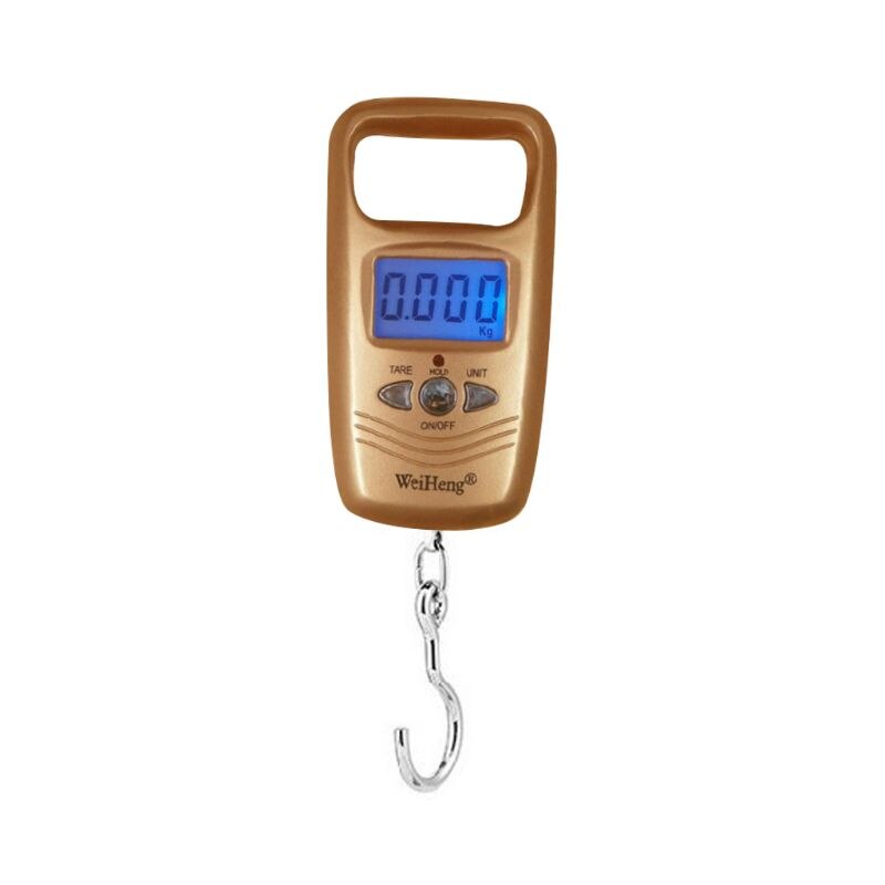Mini Electronic Portable Scale Fishing Spring Electronic Scale Express Luggage Scale 50 kg