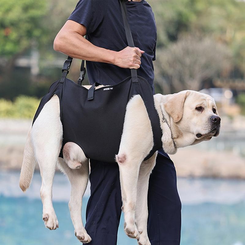 Hond Lift Harnas Voor Trappen Hond Herstel Sling Dikker Handvat Hond Assist Riem Huisdier Revalidatie Lift Vest Verstelbare Riem