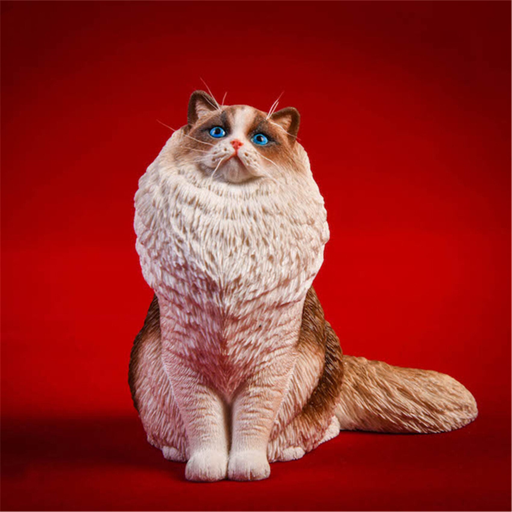 JXK 1:6 Scale Ragdoll Figure Cute Cat Pet Healing Figure Felidae Animal Collector Toy Resin Desktop Decoration: JXK029B