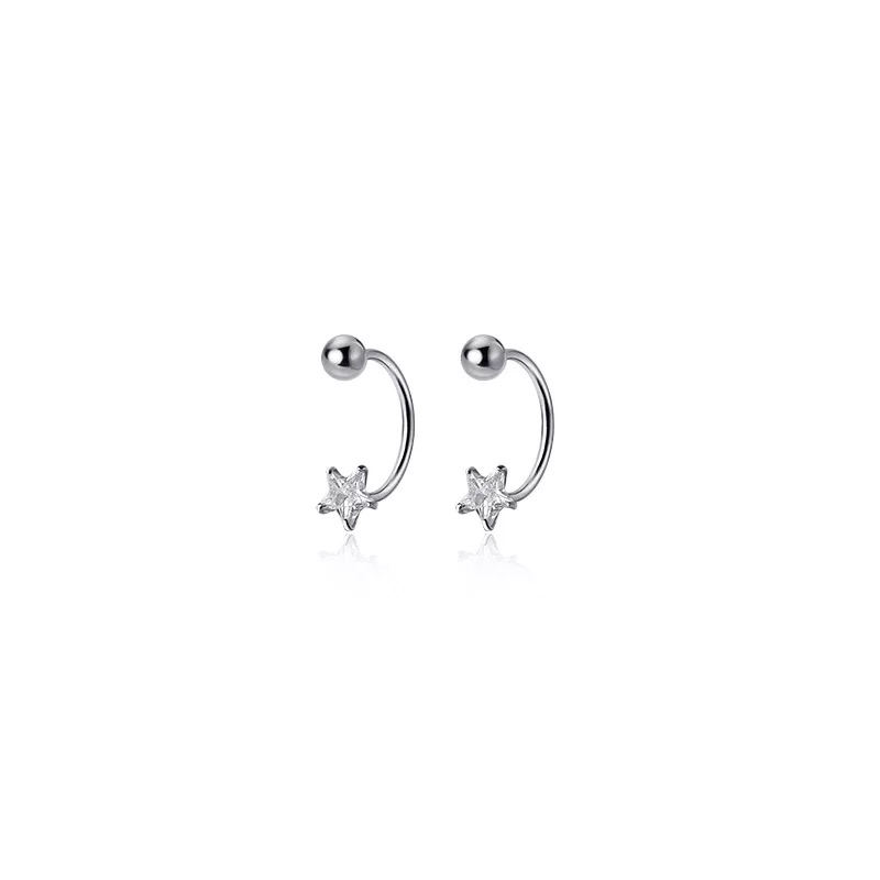 2 STUKS Rvs Star Crystal CZ Oorstekers Oorbellen Vrouwen Zilver Kleur Tragus Kraakbeen Helix Piercing Sieraden: Silver Plated