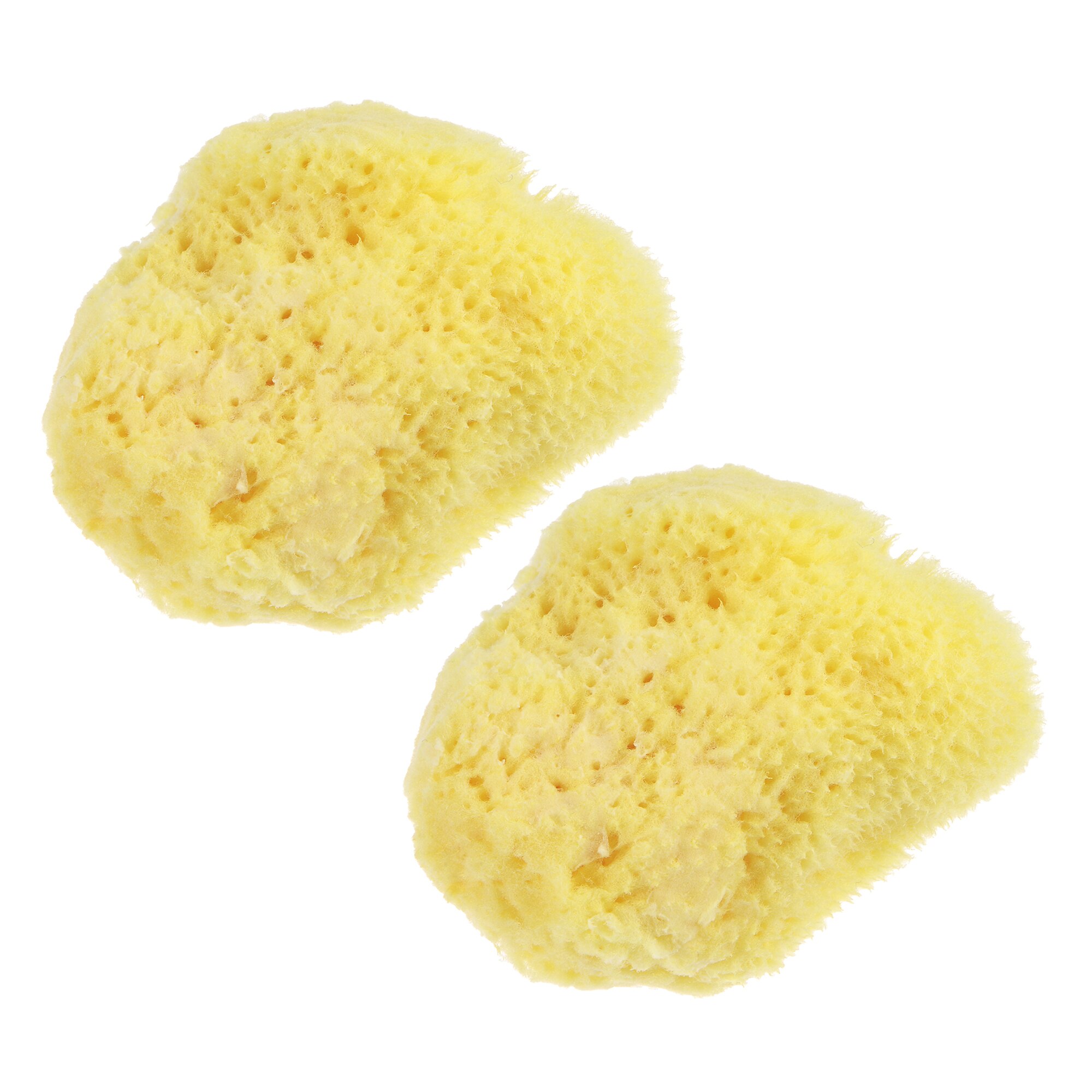 Uxcell Knockdown Texture Sea Sponge 1.5" - 2" Painting Supplies Drywall Patch Wall Ceiling Texturing 2Pcs