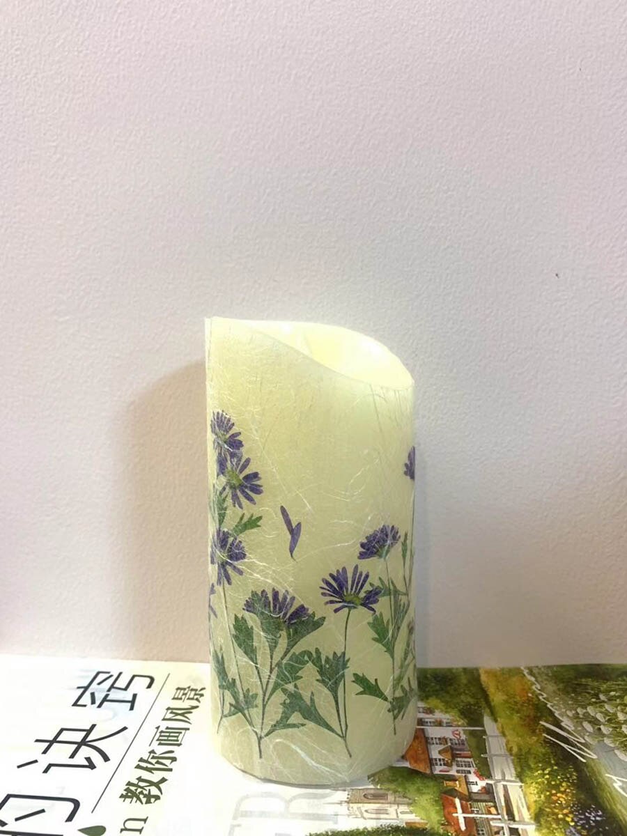 Aster à tige de Tataricus séchée pressée, plante herbium pour bijoux, carte d&#39;invitation, carte postale, étui de téléphone, -page, bougie, Art, 10 pièces