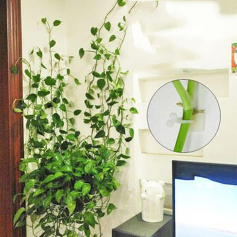 5pcs/lot Wall Climbing Fixer Green Plant Green Vine Climbing Wall Fixer Paste No Trace Hook Home Garden Balcony Decoration