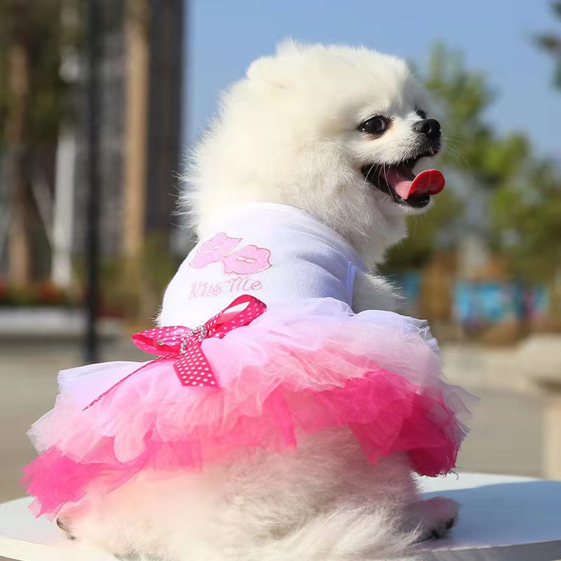 Ropa para perro Chihuahua, vestidos de boda de encaje de mezclilla para perros pequeños y medianos, falda encantadora para de cachorros con lazo para perros y gatos, Supp
