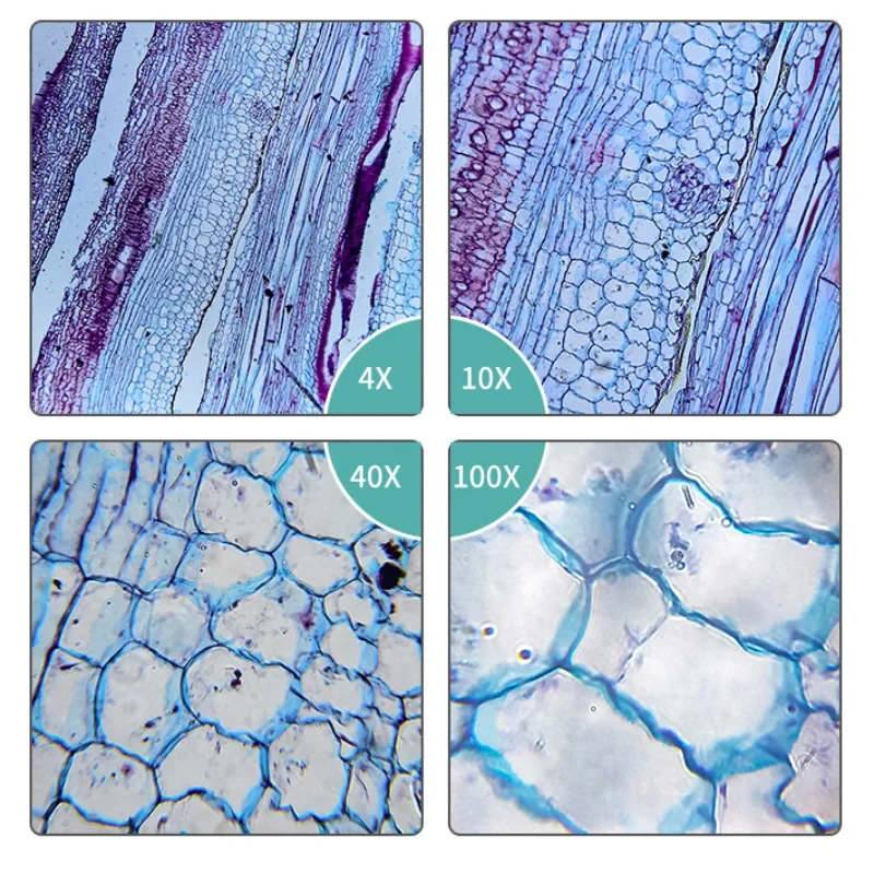 195 objetivo acromático 4X 10X 20X 40X 60X 100X lente objetivo de microscopio de RMS 20,2mm piezas de objetivo óptico