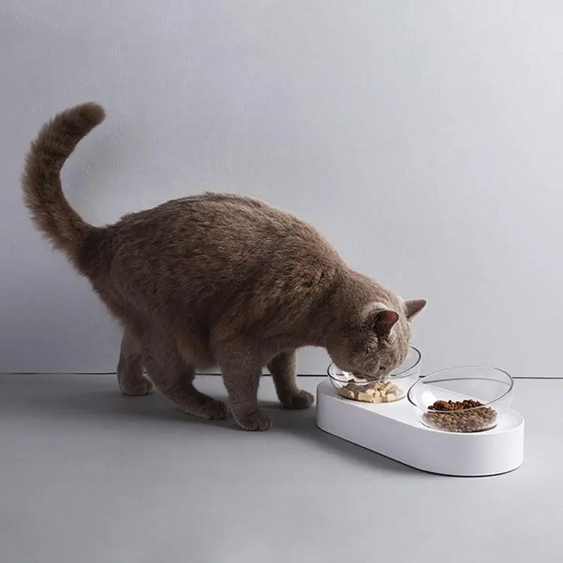 Petkit Haustier Schüssel Fütterung Gerichte Einstellbare Doppel Zubringer Schalen Wasser Tasse Katze Schalen Trinken Schüssel Haustier Lieferungen Aus Youpin