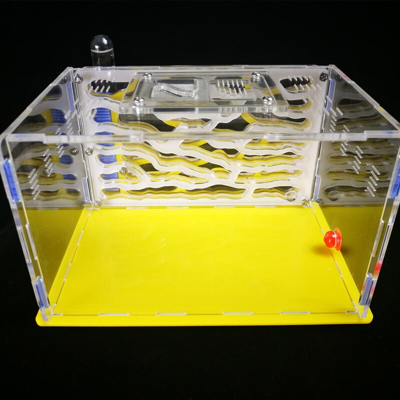1PCS Ants Nest Ants Workshop Acrylic Nest Plaster ... – Grandado