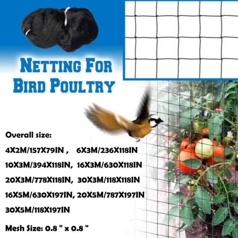 0.8 &quot;fugleforebyggende netnet firkantet anti-fuglehunde ørnnet til frugtafgrøde plante træ havebarriere dam net haveværktøj