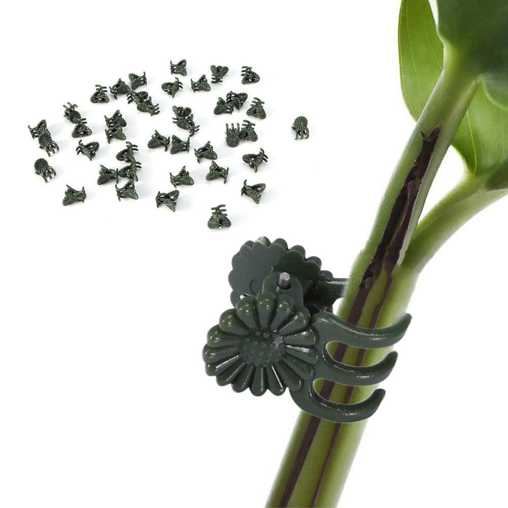 20 stk ranke plastik clips hængende stængler dekoration orkidé stilke fix blomst vokse opret podeværktøj haveplante støtte