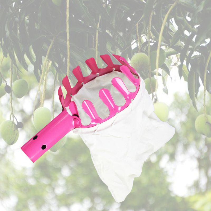 Metal Fruit Picker Orange Peach Pick Tools Garden Orchard High Tree Picking Kit