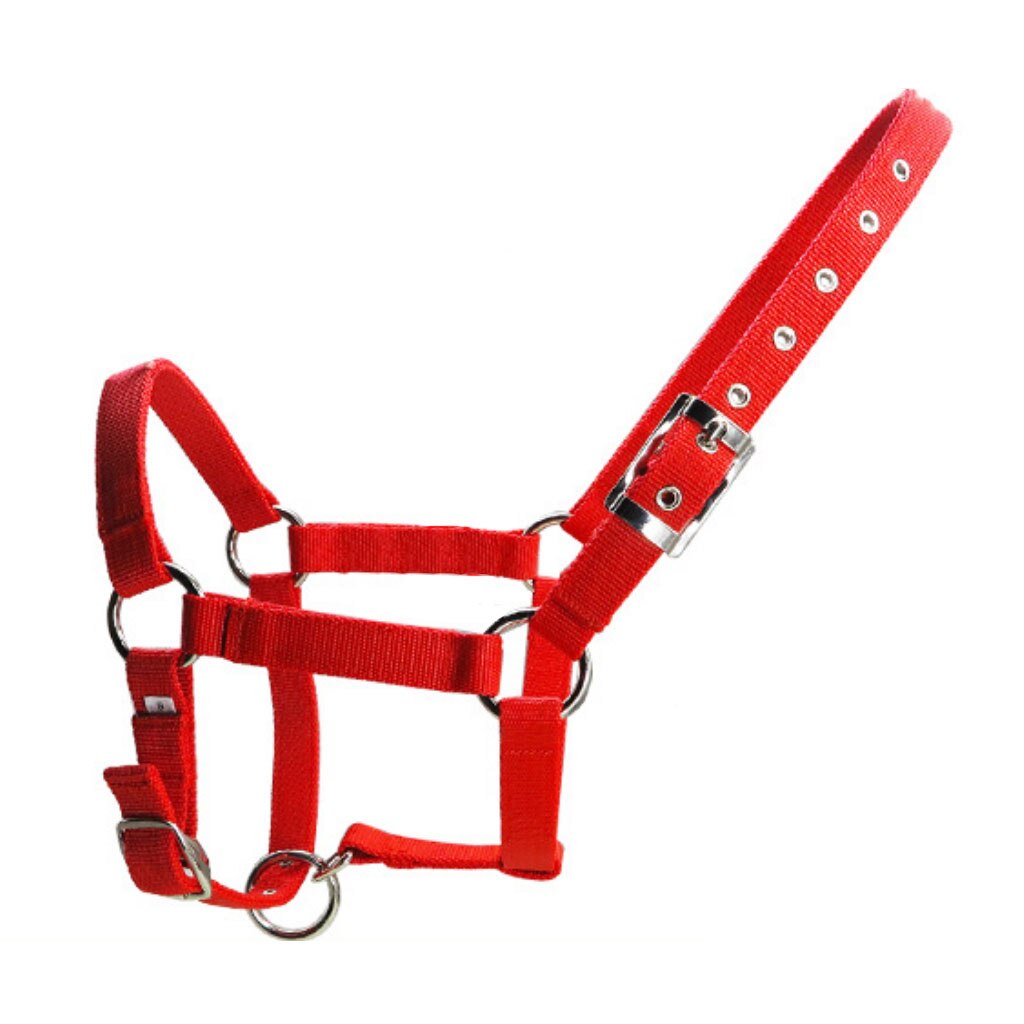 Ajustable Nylon caballo occidental ecuestre Halter Headstall Headcollars