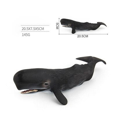 Classic Toys Whales Blue Whales Marine Animal Models Undersea Creatures Killer Sharks Whales Series Whale Toys: H