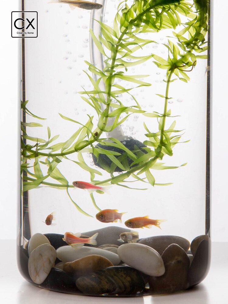 Home Lazy Mini Mini Fish Tank Office Desktop Transparent Glass No Water Change Gravity Clean Ecological Fish Tank