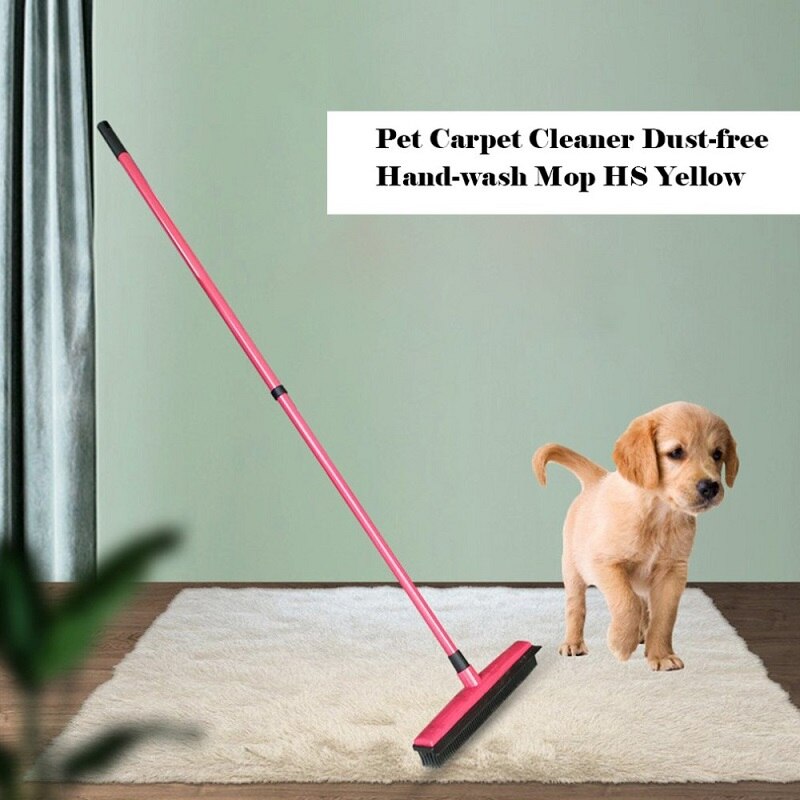 Balai à cheveux de plancher télescopique grattoir à poussière magique et brosse en caoutchouc pour animaux de compagnie