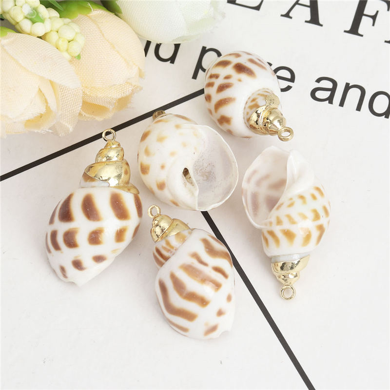 5 PCs Natural Shell Pendants Gold Conch/ Sea Snail Multicolors Charms For DIY Handmade Jewelry Making