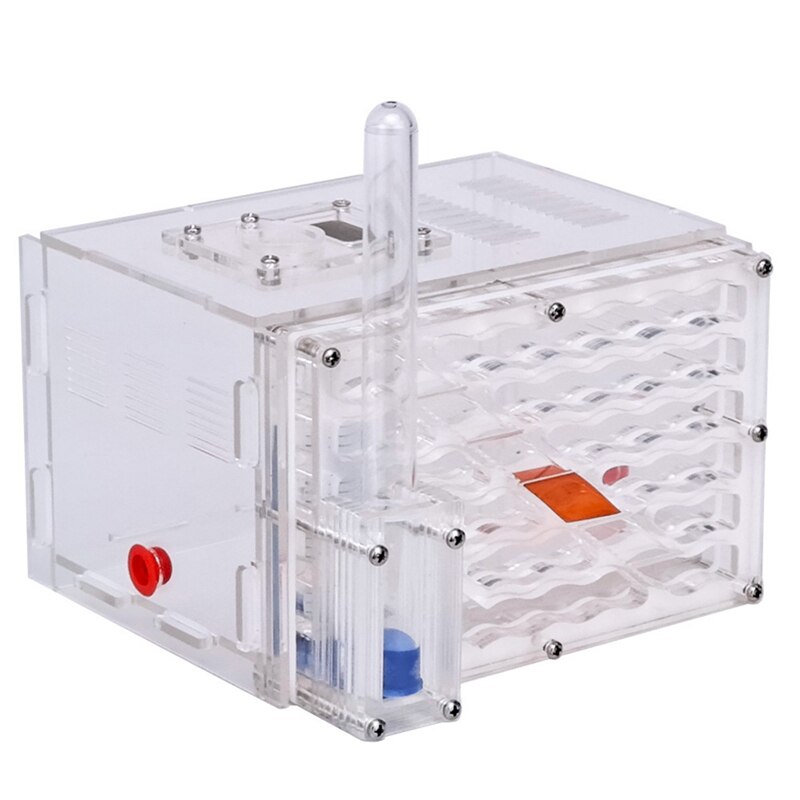 Bricolage humidité avec zone d&#39;alimentation nid de fourmis, ferme de fourmis en acrylique, nid de fourmis d&#39;insectes Villa nouvelle fantaisie avancée pour les fourmis domestiques: plum
