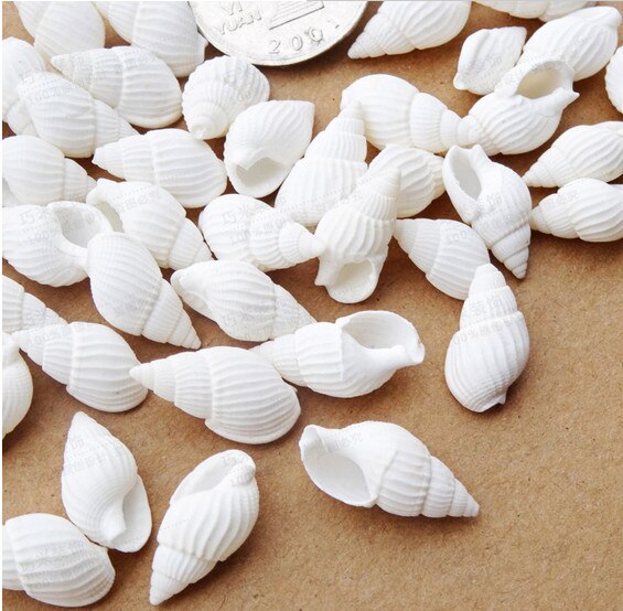 200 stks/partij 100% natuurlijke witte kleur sea shell bruiloft/festival/party decoratie