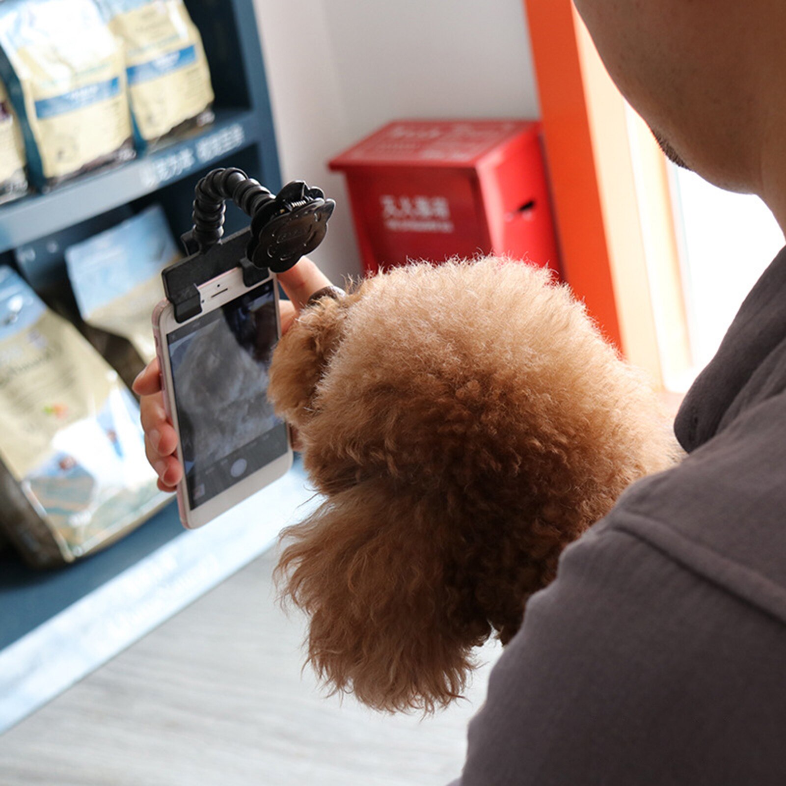 Bâton à Selfie pour animal de compagnie, jouet de prise de vue, Clip de téléphone portable, pour chien, chat, chiot