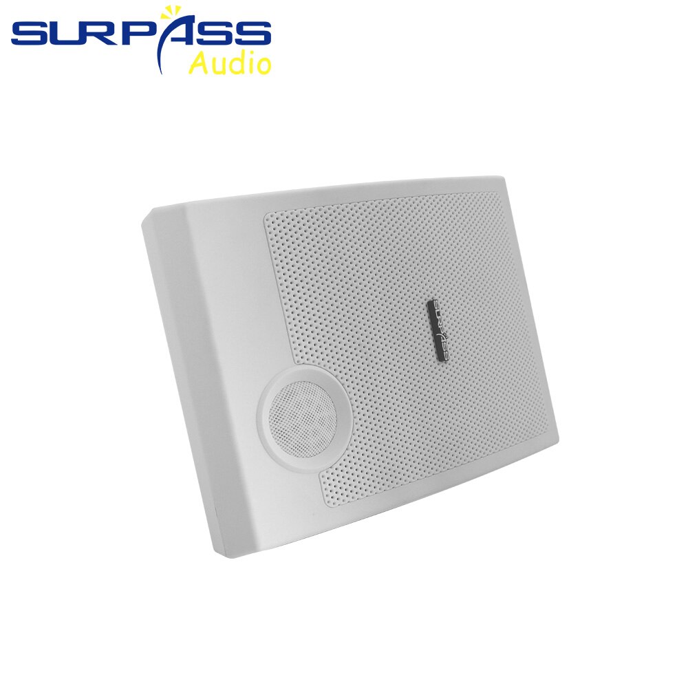 Speaker Bluetooth 10W PA Active Wall Mount Hifi Fidelity Loudspeaker Surround Sound Subwoofer Home Theatre System