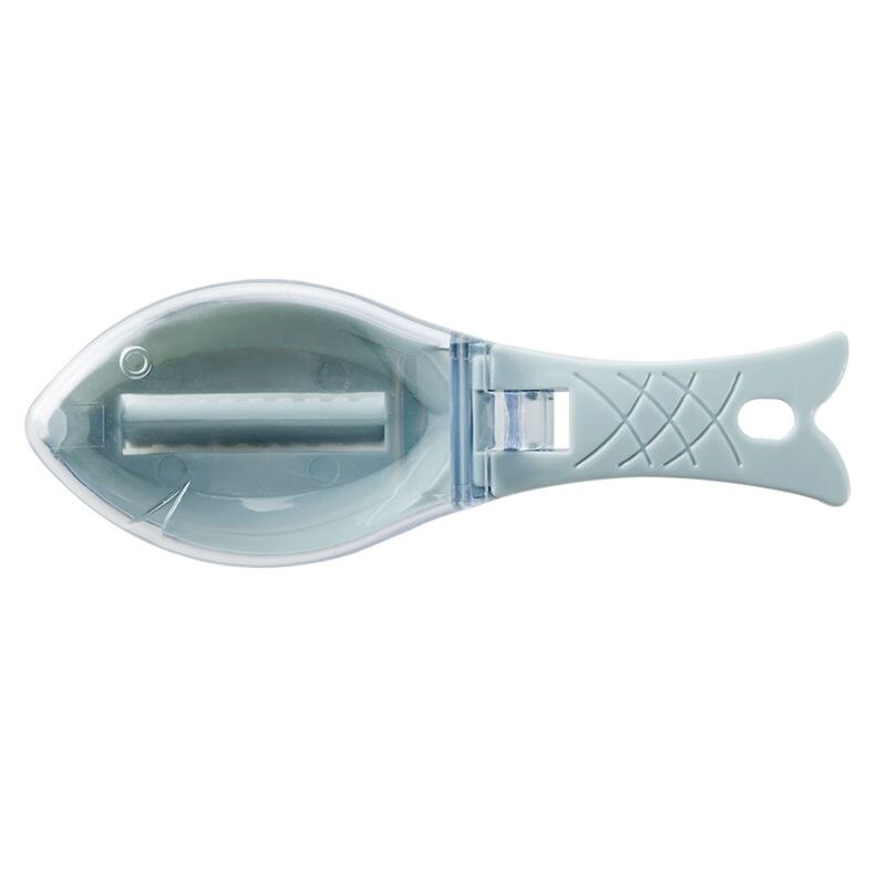 Vis Schroot Picks Schubben Borstel Artefacten Schalen Schaven Gereedschap Schrapen Vis Keuken Accessoires