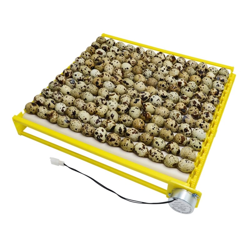 Automatyczna obracarka robić jaj obrotowych 360 stopni taca rolkowa kaczka przepiórka ptak drób jaja wylęgowe inkubator narzędzie robić inkubacji gospodarstwa
