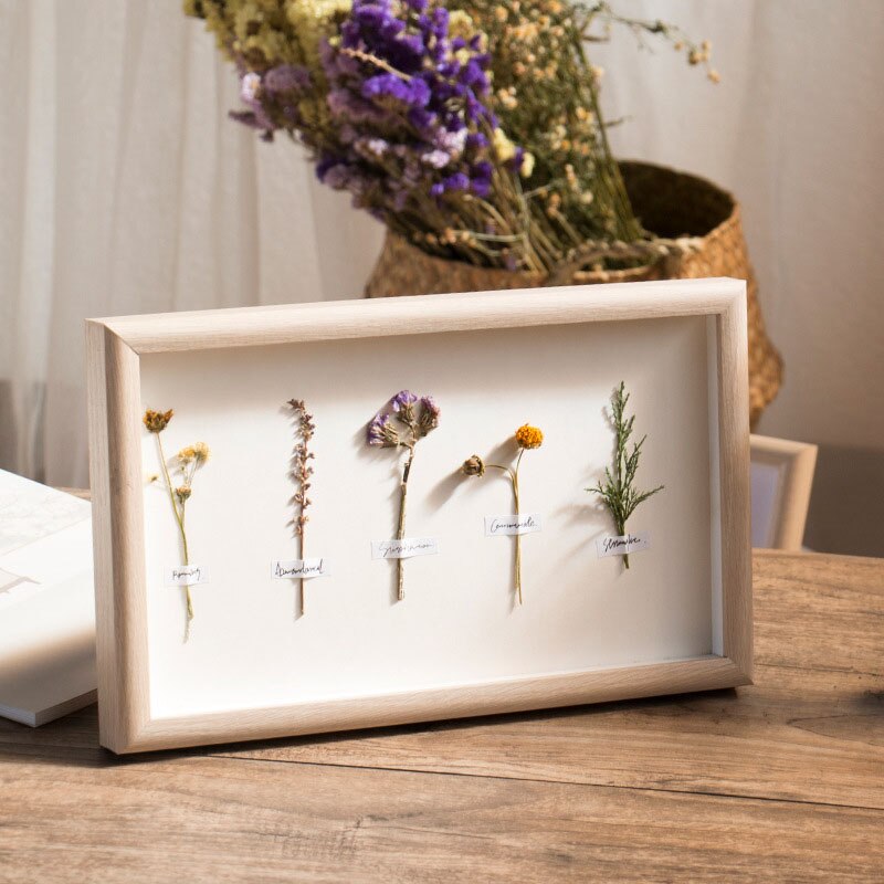 6 Inch 7 Inch Simple and Modern Nordic Specimen Ra... – Grandado