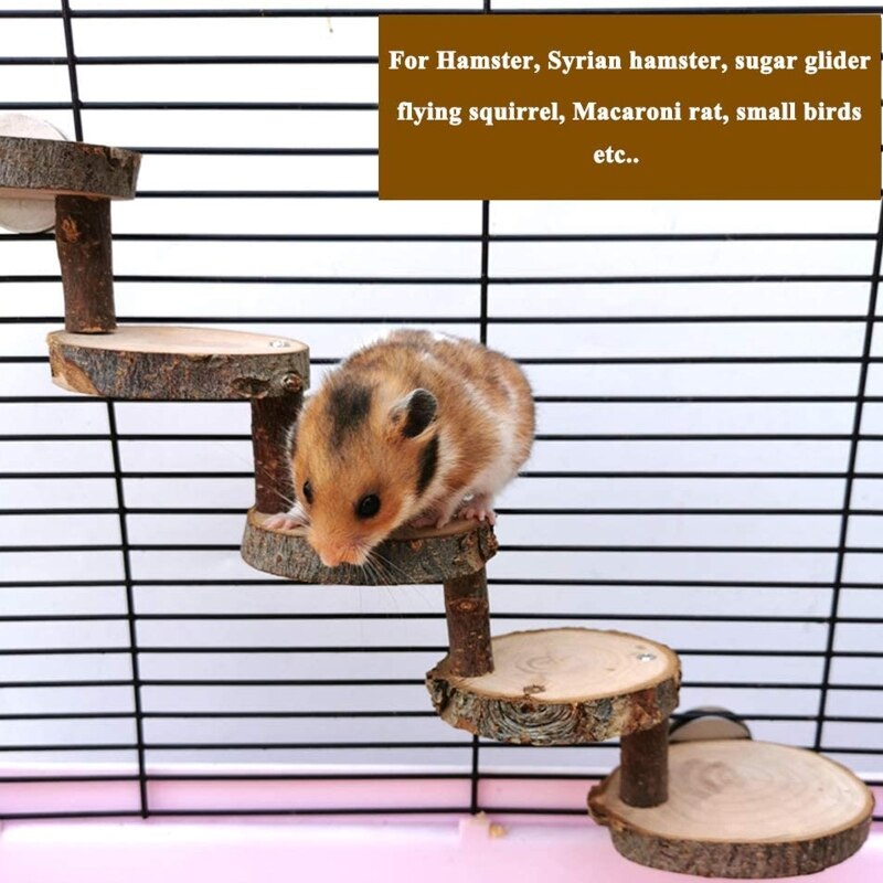 Tre papegøye hamster klatrestige trapper fugler mosjon abbor stativ plattform tenner pleie molar leker bur for dvergpapegøyer rotte