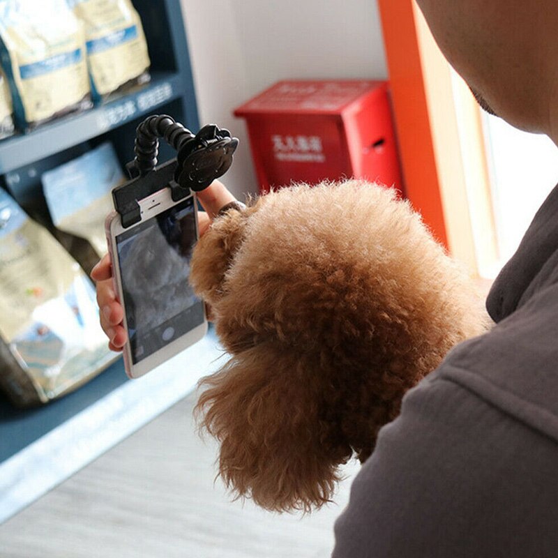 Fotografía juguete fotografía portátil disparo varilla para mascotas Selfie accesorio entrenamiento 2019ing