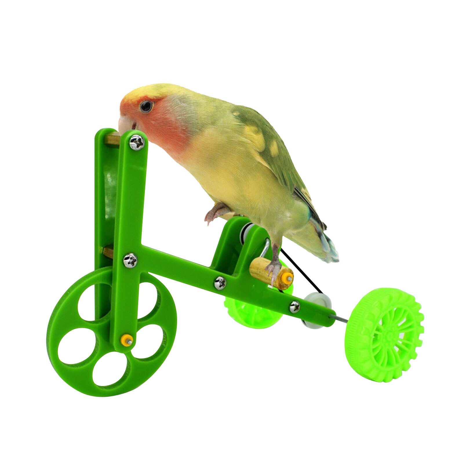 Perroquets vélo jouet d'équitation pour oiseaux, balançoire suspendue, jouet amusant et sûr, Intelligence oiseau, Train, fournitures d'oiseaux
