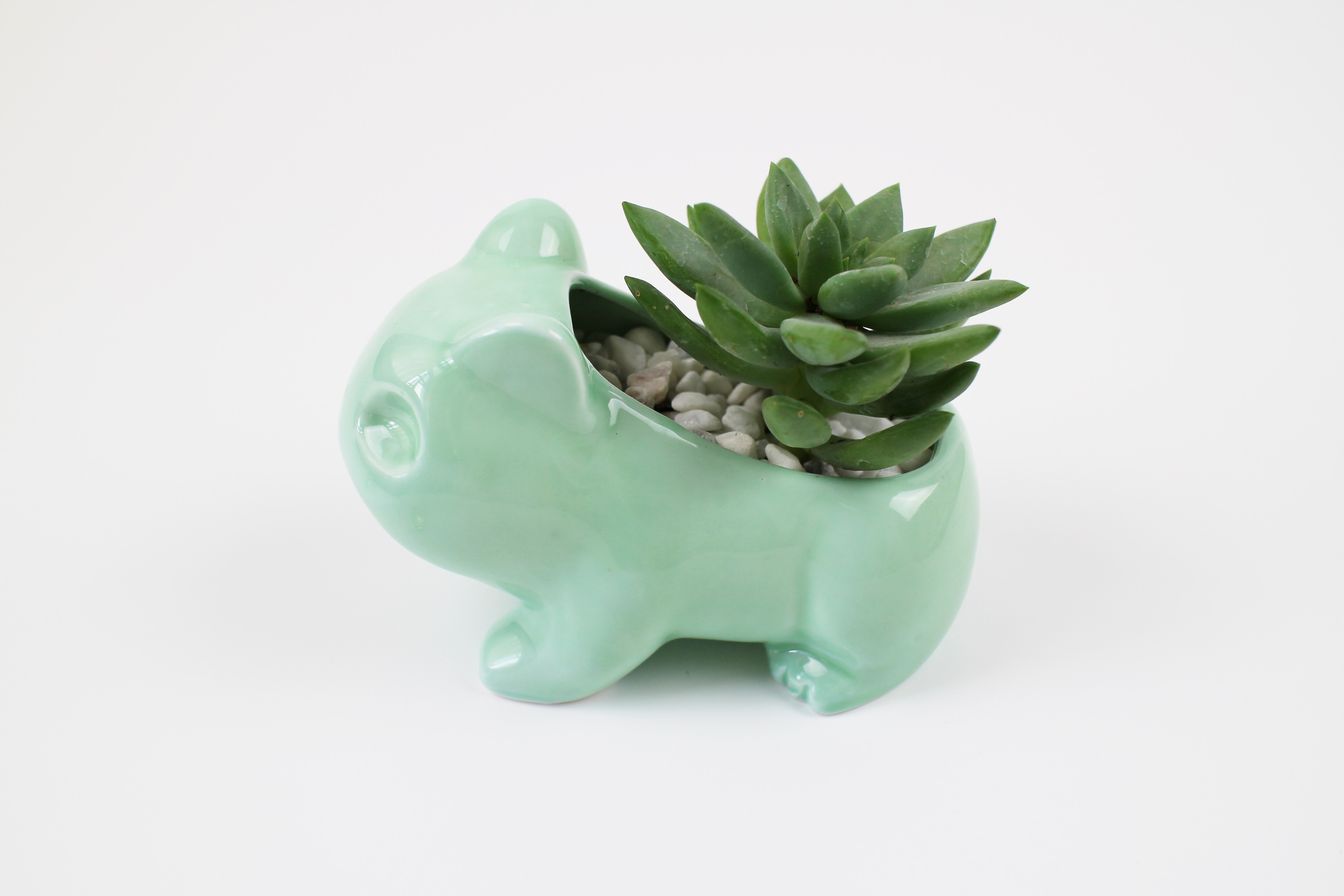 Kawaii Ceramic Flowerpot Succulent Planter Cute Green Plants Flower Pot with Hole For