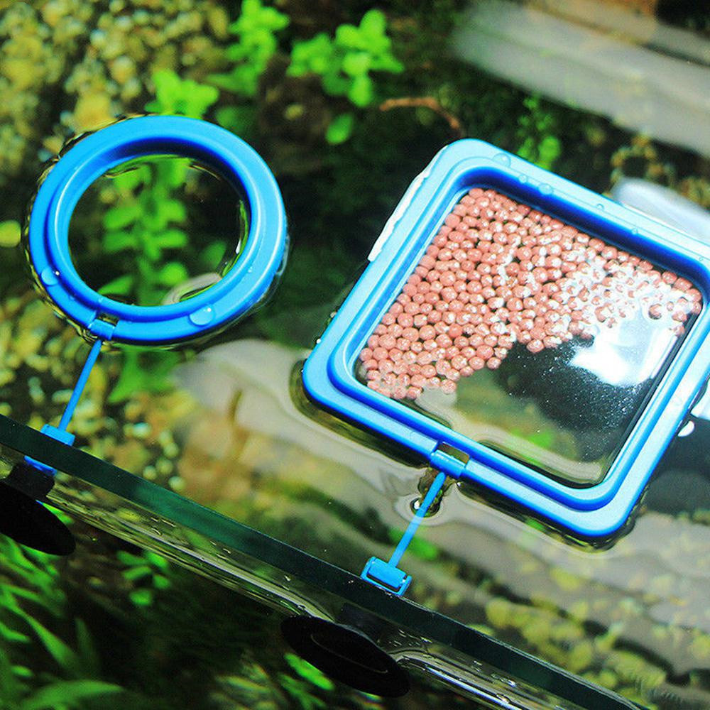 Aquarium Feeding Ring Fish Tank Station Floating Food Tray Feeder Square Circle Accessory Fish Food Feeder Suction Cup Blue