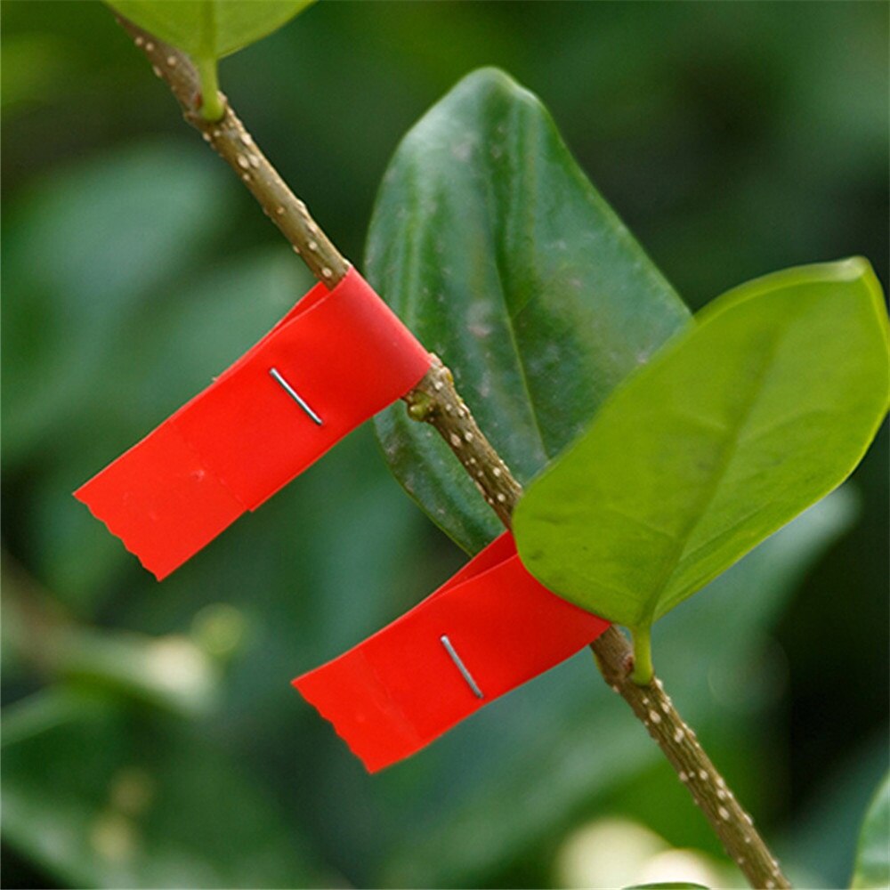 20Pcs Lint Strecth Tape Tool Tapener Bind Strap Tak Tool Plant Tuin Kofferbak Sluit Stem Hand Koppelverkoop Stake Fruit boom Link