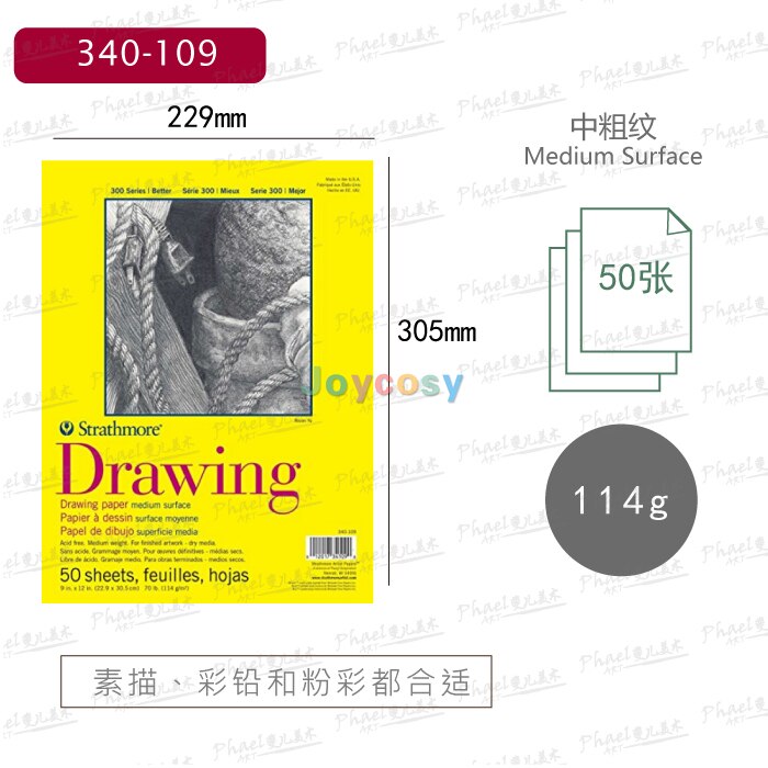 Strathmore 300 Series Bristol Paper, Drawing Paper, Watercolor Paper, Good Multi-purpose Drawing and Sketch Paper: 340-109