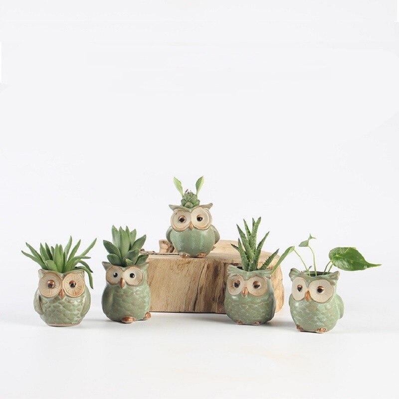 Pot de fleurs en forme de hibou, 5 pièces, en céramique, bureau, plantes, , Succulent, décoration de jardin pour la maison, extérieur: Default Title