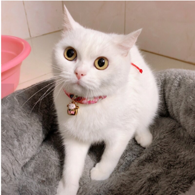 Collier pour chat, Super mignon, Style japonais, Shiba Inu, pour chien, avec clochette, accessoires, pendentif