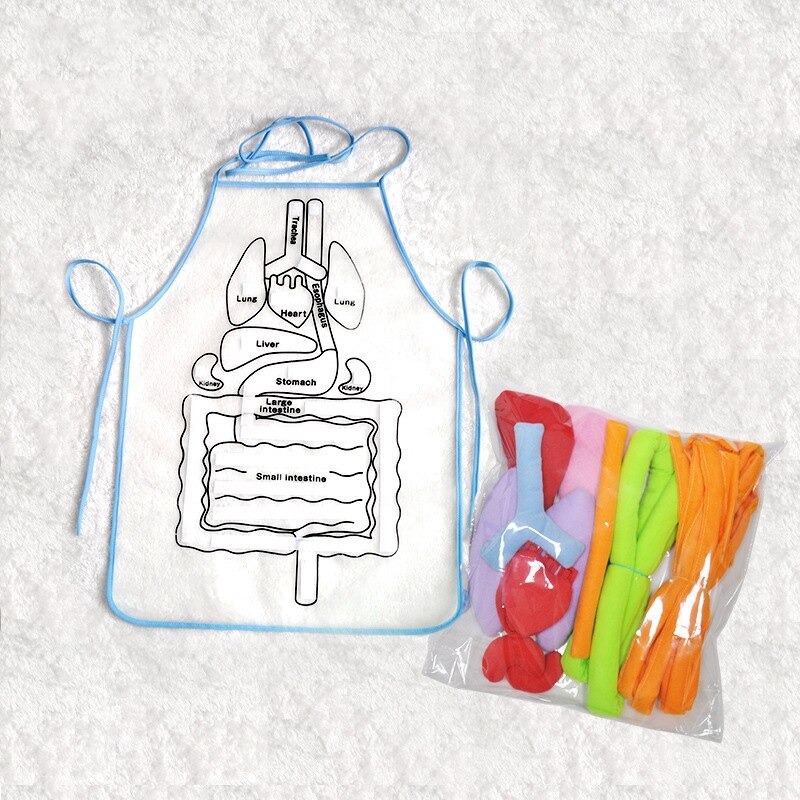 Anatomy Apron Human Body Organs Awareness Educational Insights Toys for Children Preschool Science Homeschool Teaching Aids