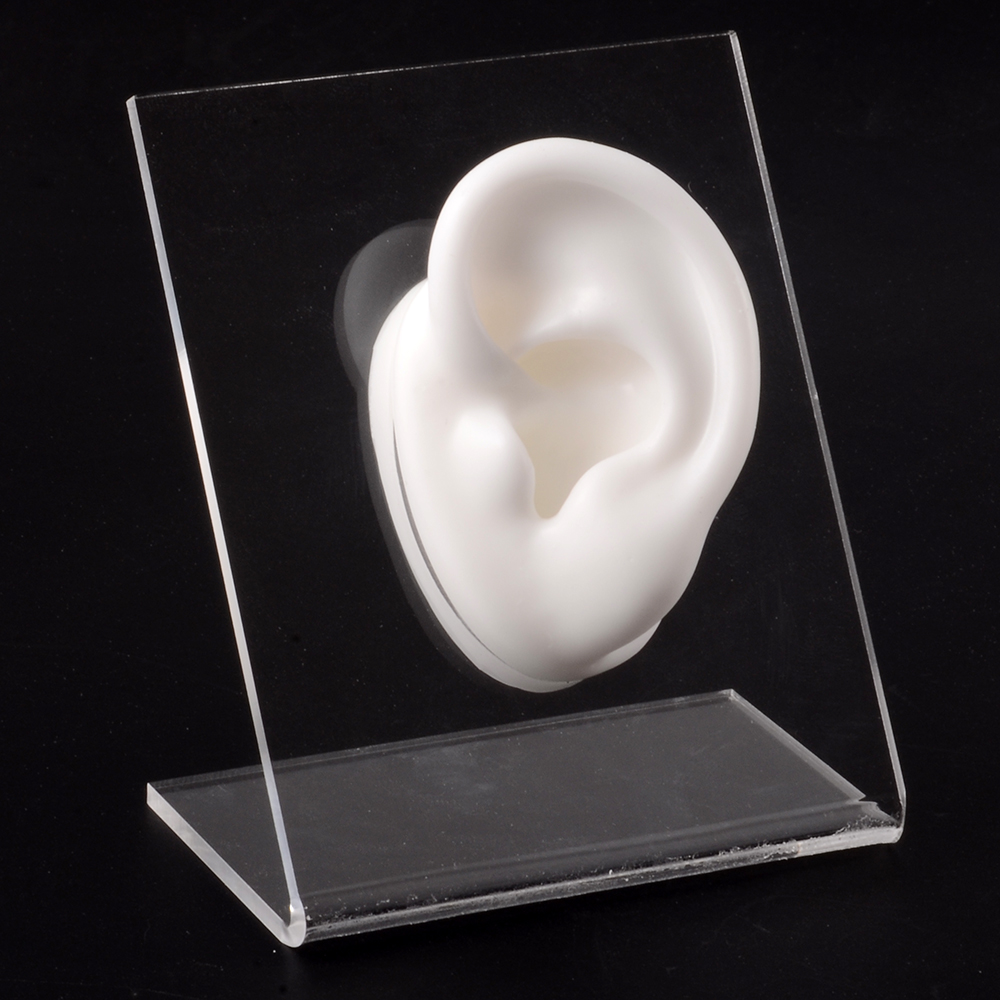 Modello di naso dell&#39;orecchio in Silicone con bordo trasparente pratica professionale piercing strumenti orecchini orecchini a bottone Display può essere riutilizzato gioielli: White Left