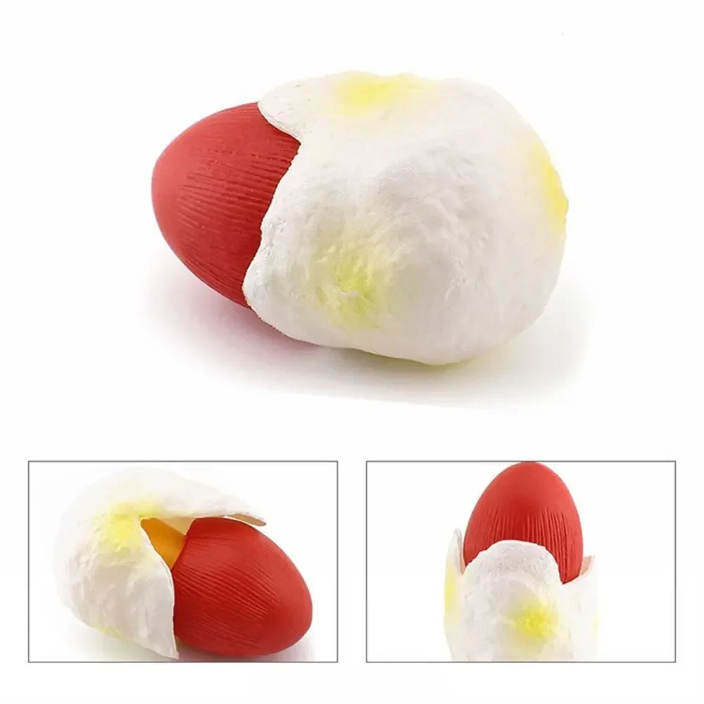 Modelo de vegetais estatuetas de fungos matsutake oyste simulação artificial cogumelo pleurotus planta modelo de fungo decoração de jardim: Transparente