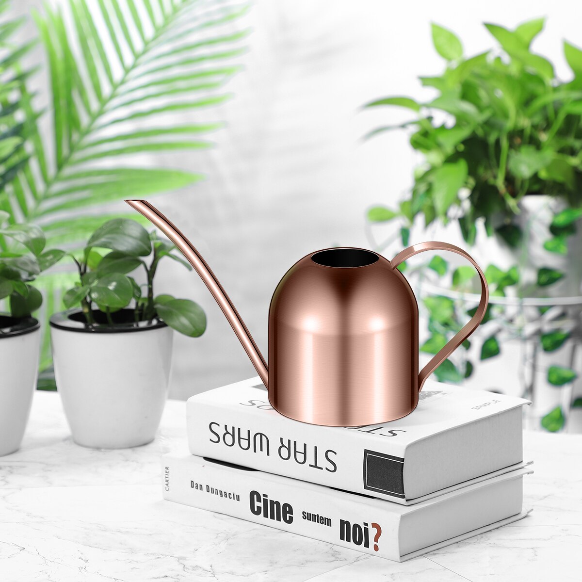 1000ml Stainless Steel Watering Can Indoor Plants Succulents Long Spout Watering Pot for Home Garden Office (Copper)