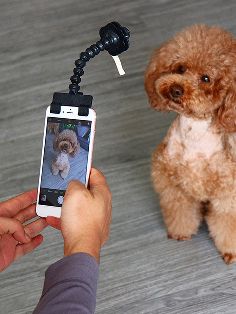 Cão de estimação gato selfie vara filhote de cachorro gatinho tirar foto clipe interativo fotografia ferramenta suprimentos para animais de estimação acessórios telefone clipe titular