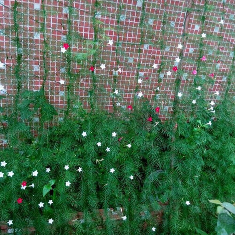 Garden Plants Climbing Net Green Nylon Vegetable Plant Trellis Netting Support Nets Bean Plant Climbing Grow Fence