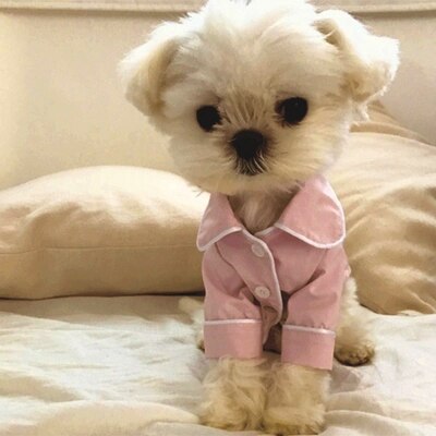 Dog Pajamas Winter Dogs Jumpsuit French Clothes for Dogs Chihuahua Ropa Perro Small Dog Clothing Pet Overalls Bulldog: Pink / S