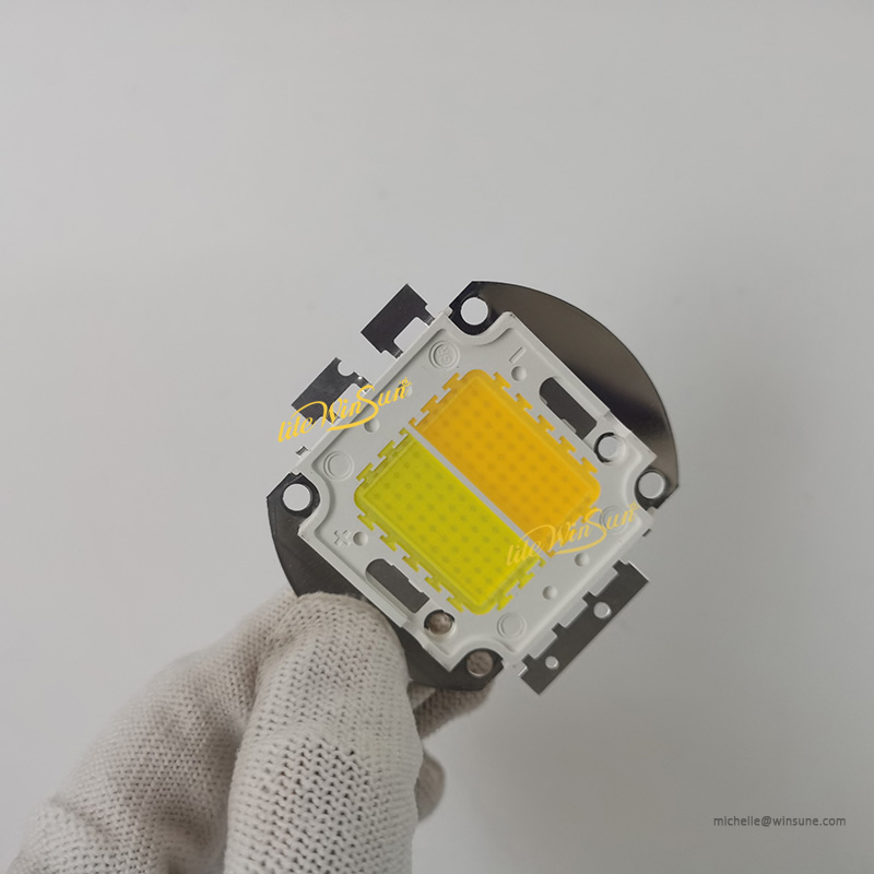 Fuente de luz LED COB 2 en 1, 100W, WW CW, Blanco cálido, blanco frío, para cegador, luz de público, luz Par COB
