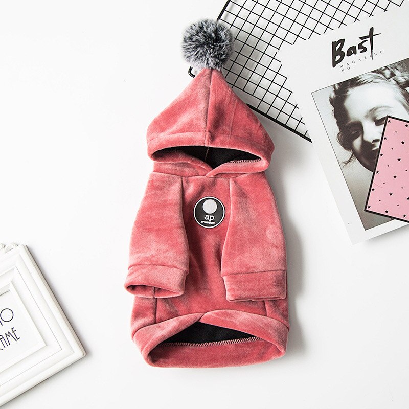 Vinter kæledyr hund tøj mops fransk bulldog tøj til hunde frakke fed hund jakke hvalp kæledyr tøj til hund hættetrøje ropa perro york: Rød / Xxl