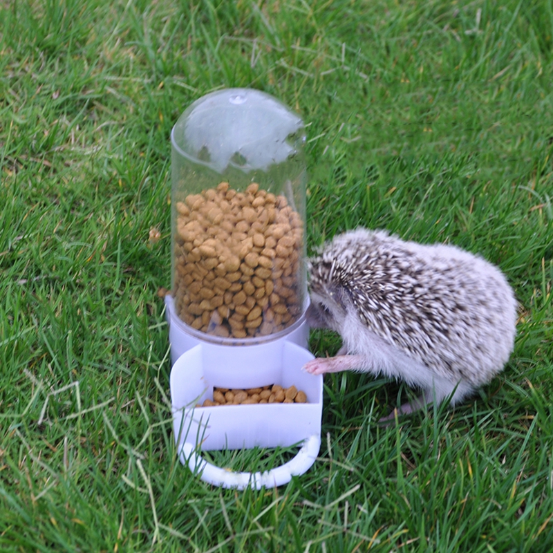 Bird Pet Drinker Feeder Automatic Food Waterer Clip Aviary Cage Parrot Budgie