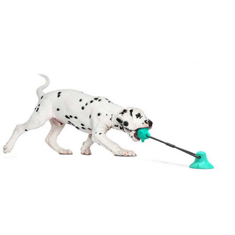 Pet mordedura Molar perro juguetes tres piezas masticar goma Bola de Limpieza de dientes seguro elasticidad cachorro suave succión taza perros morder juguete