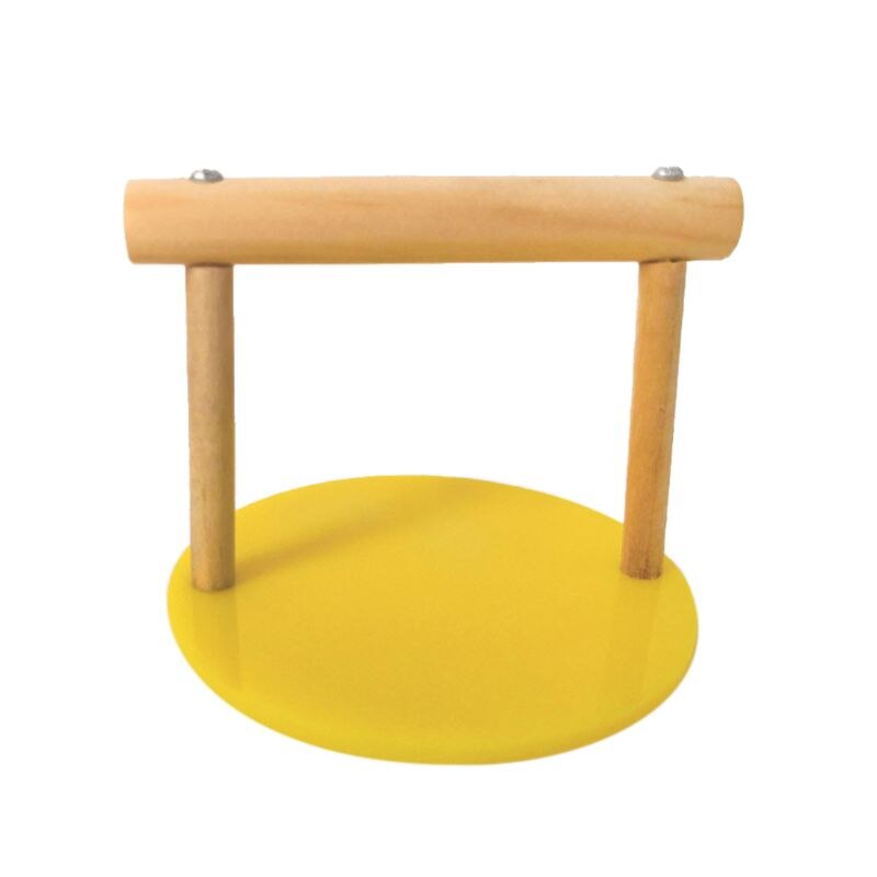 Parrot Wooden Tabletop Perch with Acrylic Base Bird Standing Exercising Grinding Desktop Perch